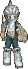 Palace Swordsman