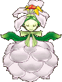 White Flower Pixie