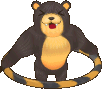 Hula Bear