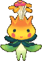 Aroma Seed