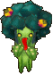 Cry Cactus