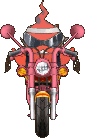 Lotus Knight